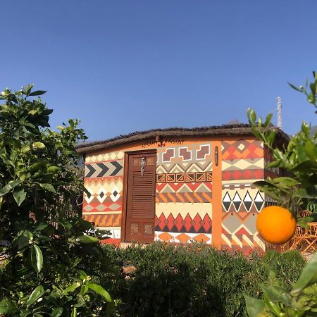 Afrikan Krisant Tenerife, Casa Rural Ecologica Арафо Экстерьер фото
