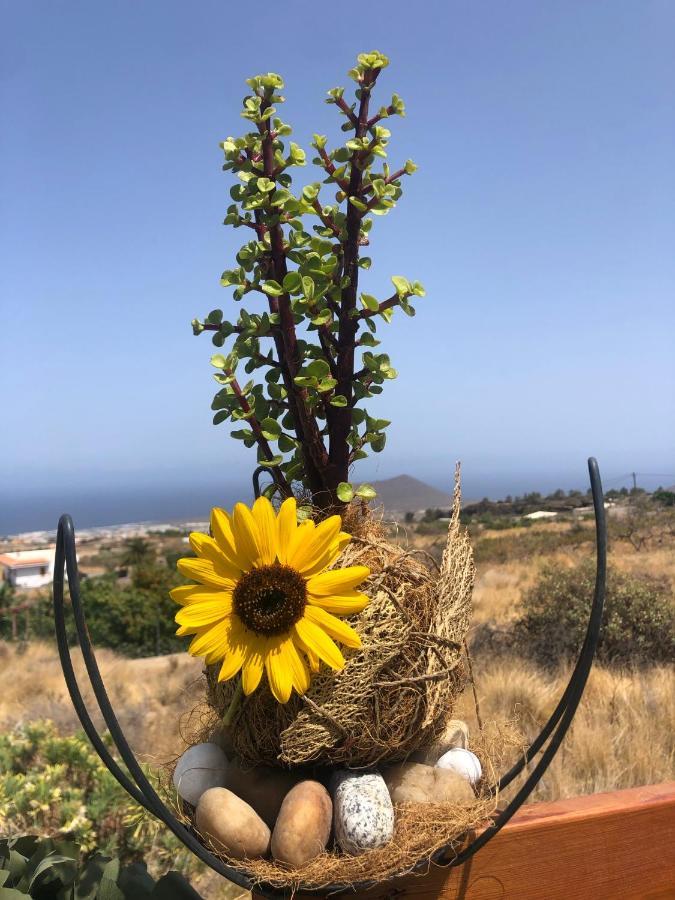 Afrikan Krisant Tenerife, Casa Rural Ecologica Арафо Экстерьер фото