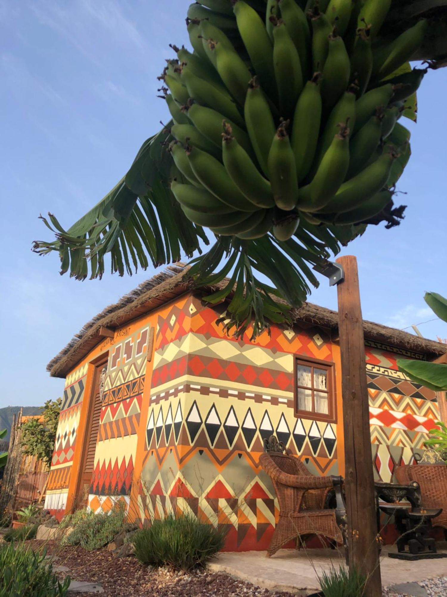 Afrikan Krisant Tenerife, Casa Rural Ecologica Арафо Экстерьер фото